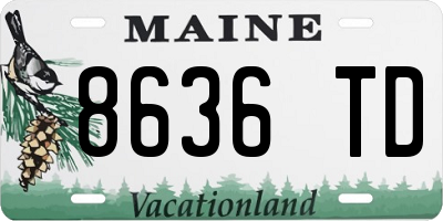 ME license plate 8636TD