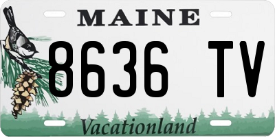 ME license plate 8636TV