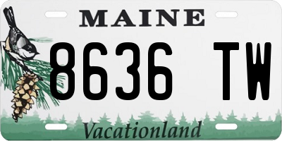 ME license plate 8636TW