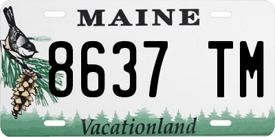 ME license plate 8637TM