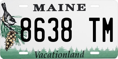 ME license plate 8638TM