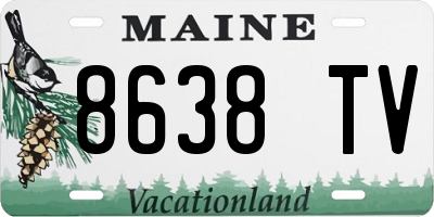 ME license plate 8638TV