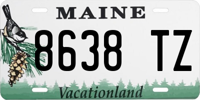 ME license plate 8638TZ