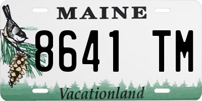 ME license plate 8641TM
