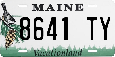 ME license plate 8641TY