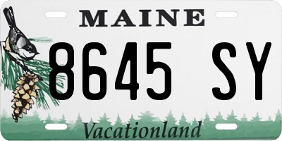 ME license plate 8645SY