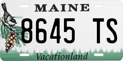 ME license plate 8645TS