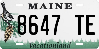 ME license plate 8647TE