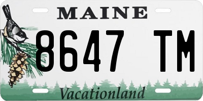 ME license plate 8647TM