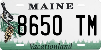 ME license plate 8650TM