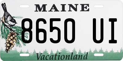ME license plate 8650UI
