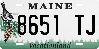 ME license plate 8651TJ