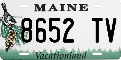 ME license plate 8652TV