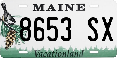 ME license plate 8653SX
