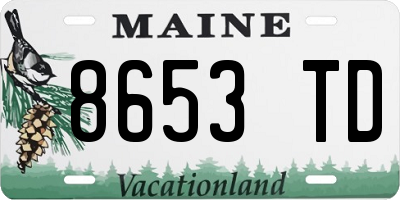 ME license plate 8653TD