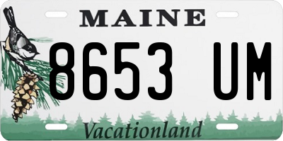 ME license plate 8653UM