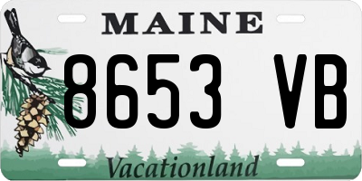 ME license plate 8653VB