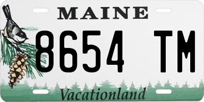 ME license plate 8654TM