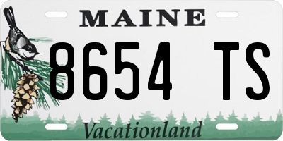ME license plate 8654TS