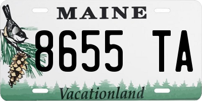 ME license plate 8655TA