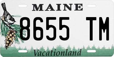ME license plate 8655TM