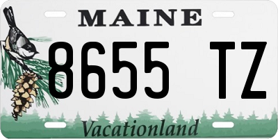 ME license plate 8655TZ