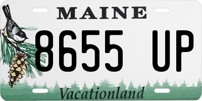 ME license plate 8655UP