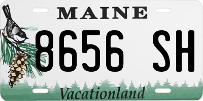 ME license plate 8656SH