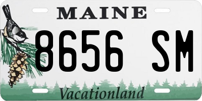 ME license plate 8656SM