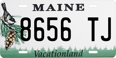 ME license plate 8656TJ