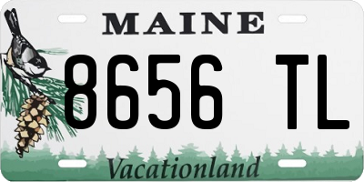 ME license plate 8656TL