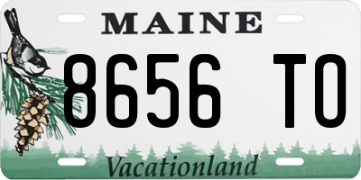 ME license plate 8656TO