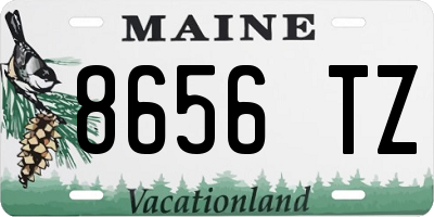 ME license plate 8656TZ