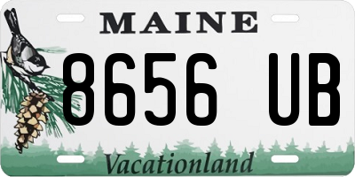 ME license plate 8656UB