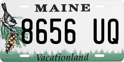 ME license plate 8656UQ