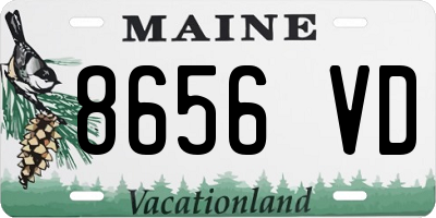 ME license plate 8656VD