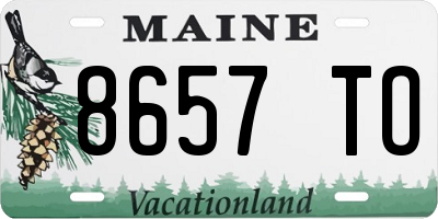 ME license plate 8657TO