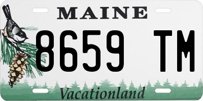 ME license plate 8659TM