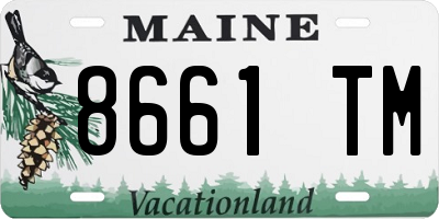 ME license plate 8661TM