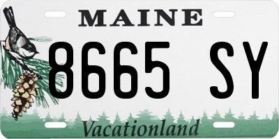 ME license plate 8665SY