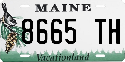 ME license plate 8665TH