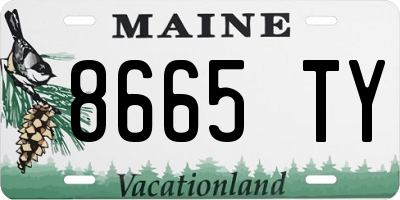 ME license plate 8665TY