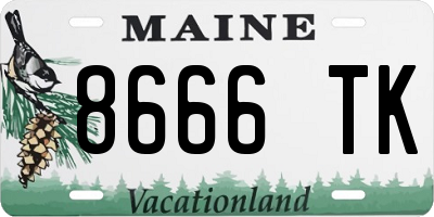 ME license plate 8666TK