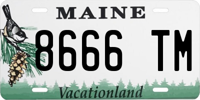 ME license plate 8666TM