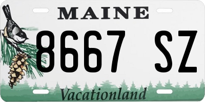 ME license plate 8667SZ