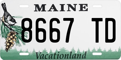 ME license plate 8667TD