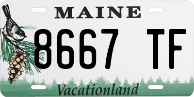 ME license plate 8667TF