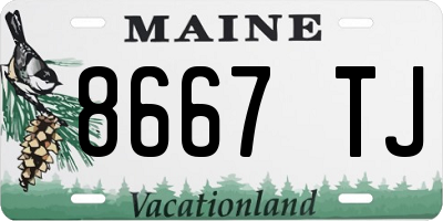 ME license plate 8667TJ