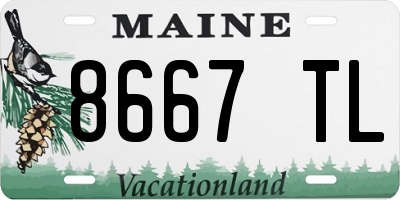 ME license plate 8667TL