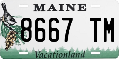 ME license plate 8667TM